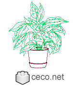 Autocad drawing decorative indoor plant pot with large leaves dwg , in Garden & Landscaping Plants Bushes
