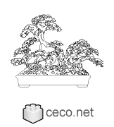 Autocad drawing japanese pine bonsai dwg , in Garden & Landscaping Plants Bushes
