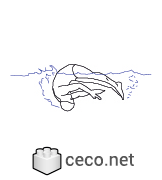 Autocad drawing Olympic swimmer in mid-flip turn dwg , in People Fitness & Sports