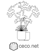Autocad drawing Ornamental shrub in a pot dwg , in Garden & Landscaping Plants Bushes