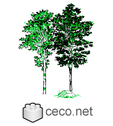 Autocad drawing Pair of Trees with a big rock green leaves dwg , in Garden & Landscaping Trees