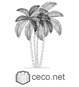 Autocad drawing palm oil trees dwg , in Garden & Landscaping Plants Bushes
