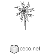 Autocad drawing Palm tree tropical tree dwg , in Garden & Landscaping Trees