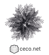 Autocad drawing palm tree cup dwg template sumbols , in Garden & Landscaping Trees