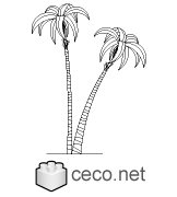 Autocad drawing two palms dwg , in Garden & Landscaping Plants Bushes