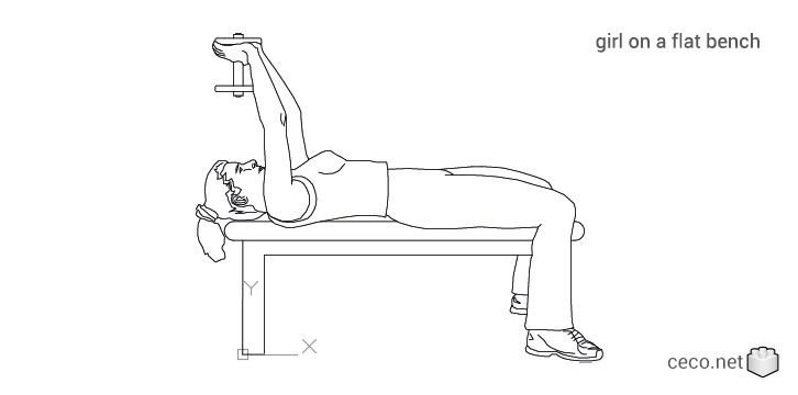 autocad drawing girl exercising with dumbbells on a flat bench in People, Fitness & Sports
