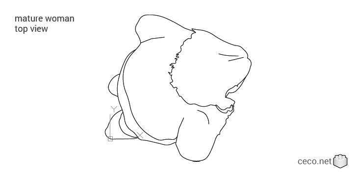 autocad drawing mature woman top view in People, Women autocad drawing mature woman top view in People, Women