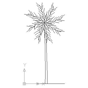 autocad drawing Palm tree in Garden & Landscaping, Trees