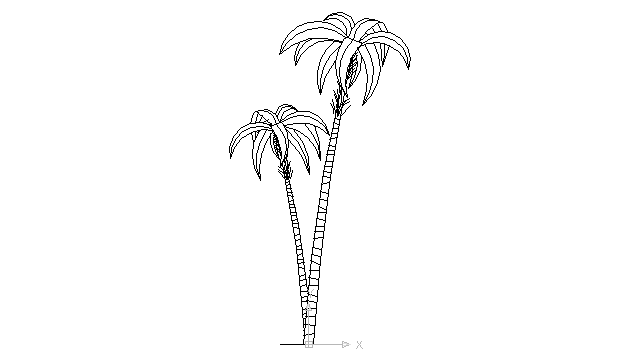 autocad drawing two palm trees coconuts in Garden & Landscaping, Plants Bushes