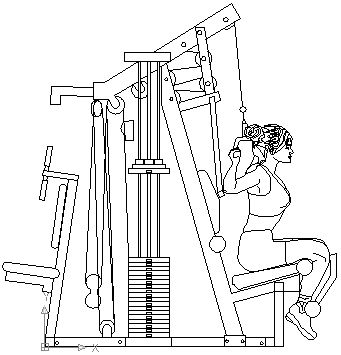autocad drawing young woman on upper back exercise machine at gym in Equipment, Sports Gym Fitness